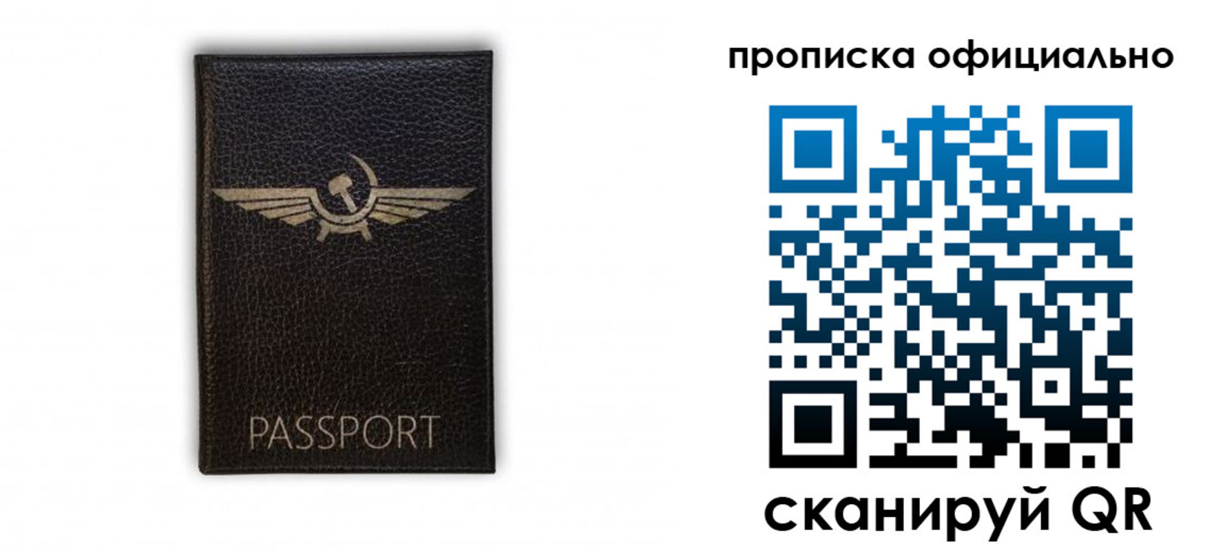временная прописка в Болотном